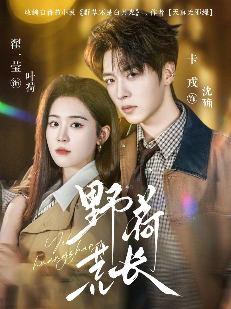 野荷荒长(全集)